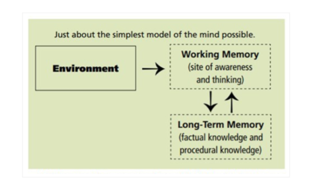 Willingham’s  model