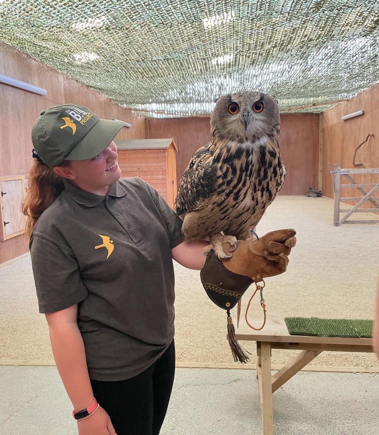 Amy’s Success Story with The Bird of Prey Project 