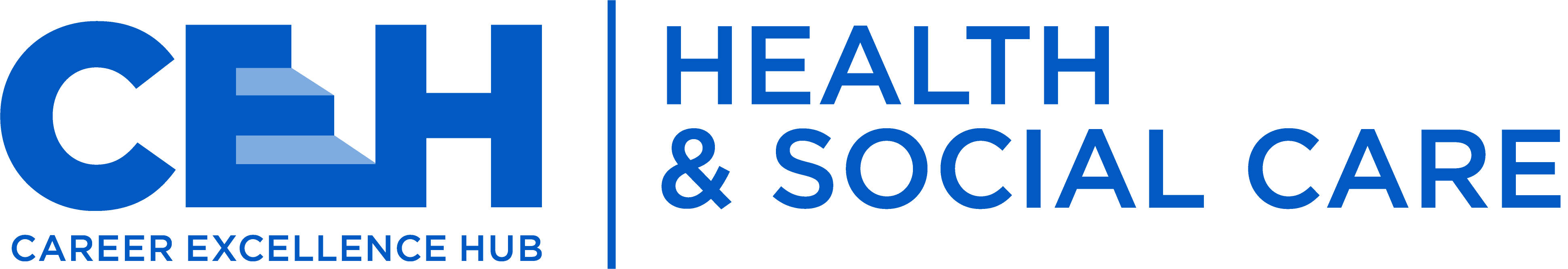 CEH health and social care