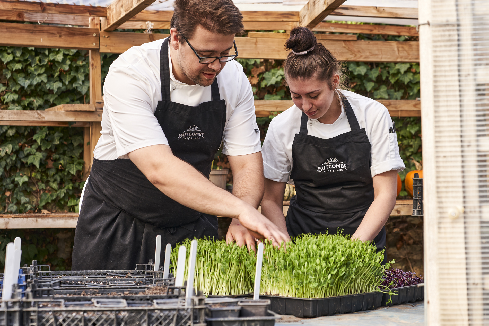 two butcombe chefs picking herbs