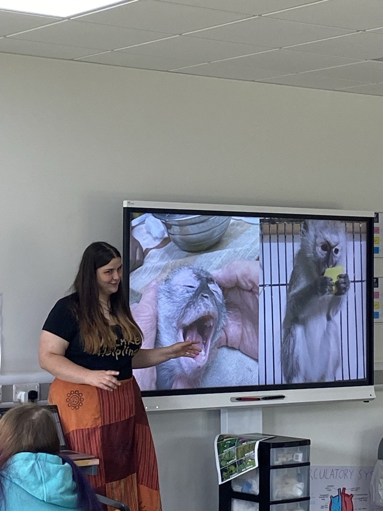 Ellie delivering guest talk about monkeys