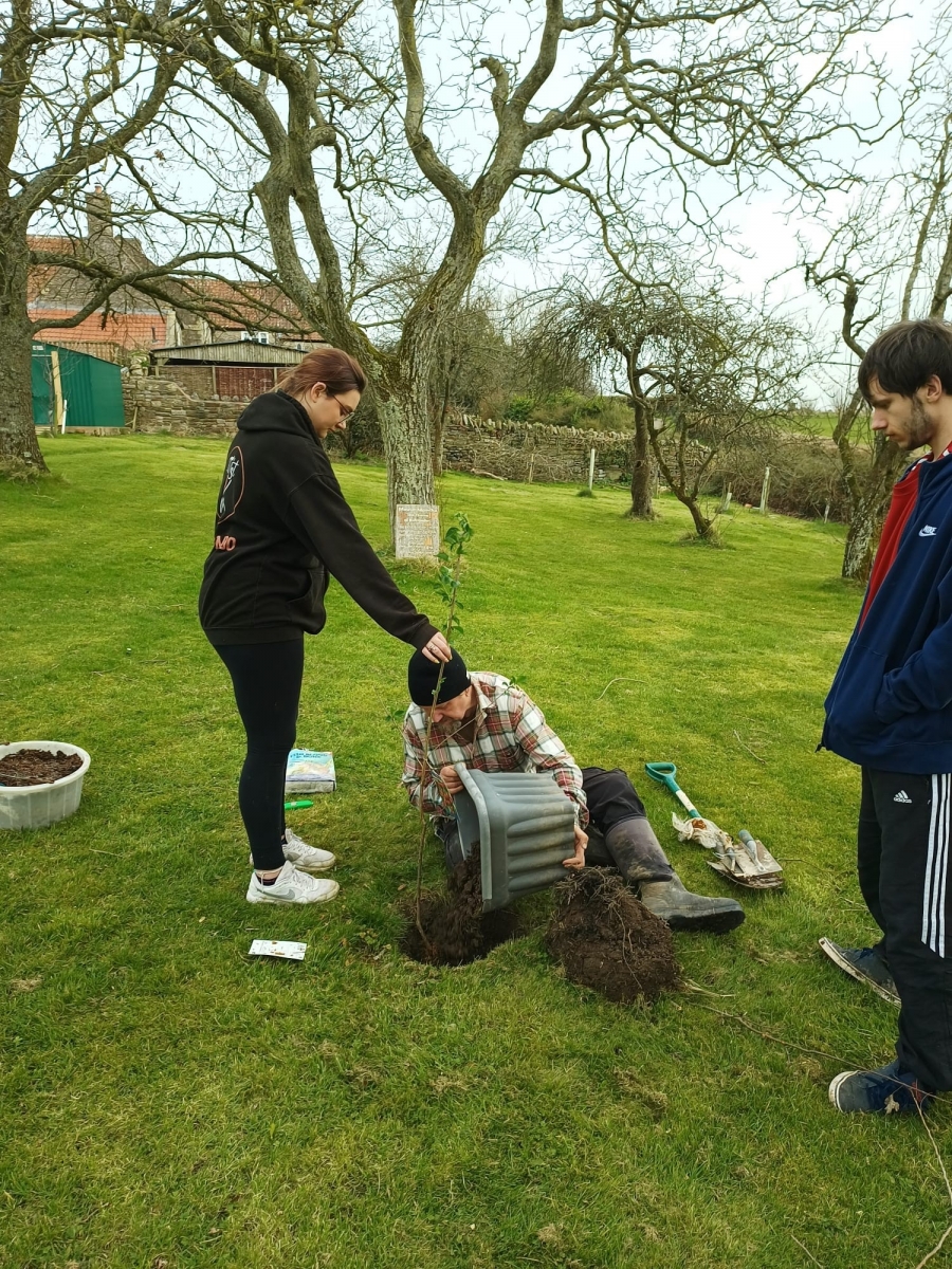 queens green canopy tree planting in north somerset dr paul phillips