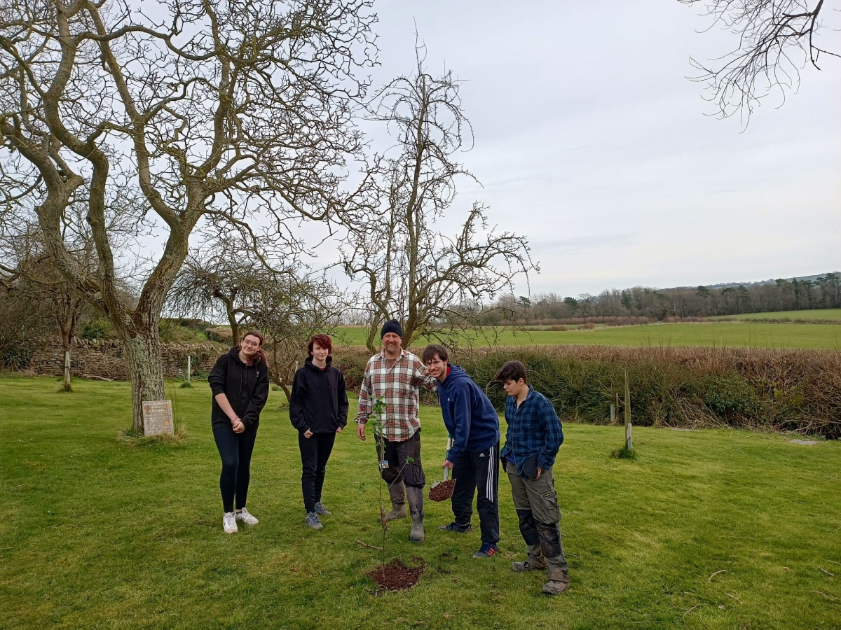 ""queens green canopy tree planting in north somerset dr paul phillips