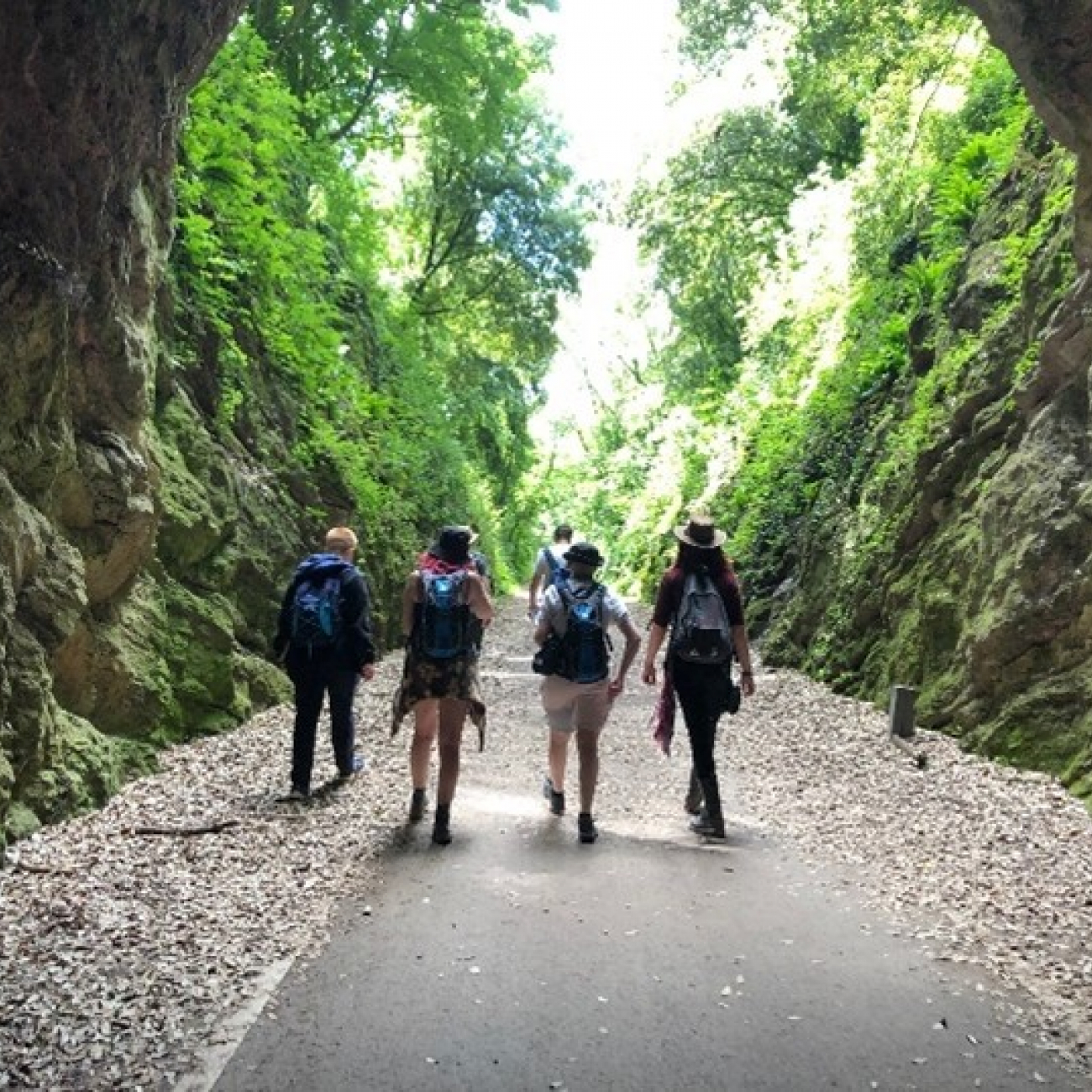 Group of learners on walk