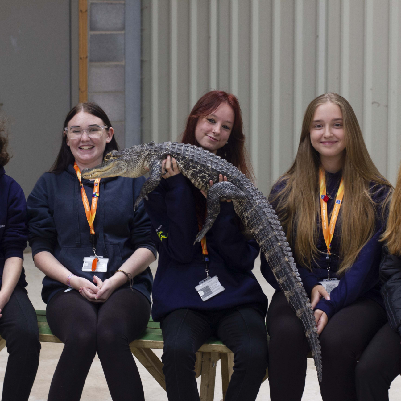 Group of learners holding alligator 