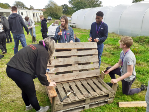 Students building a seat out of wooden pallets at the Chilli Farm