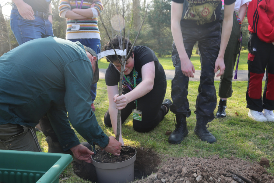 Learner helping member of staff plant a tree in a hole in the ground, covering the base in soil