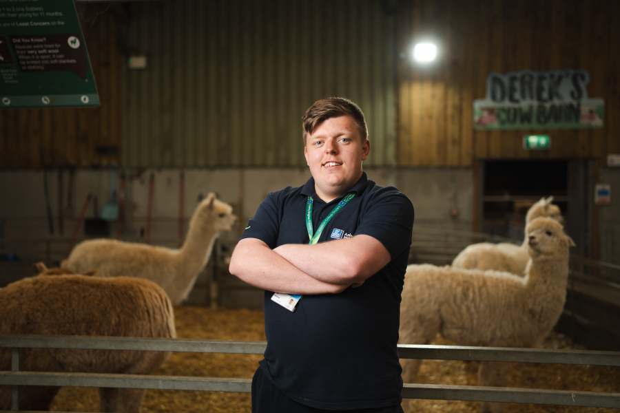 male animal management students standing in front of alpacas