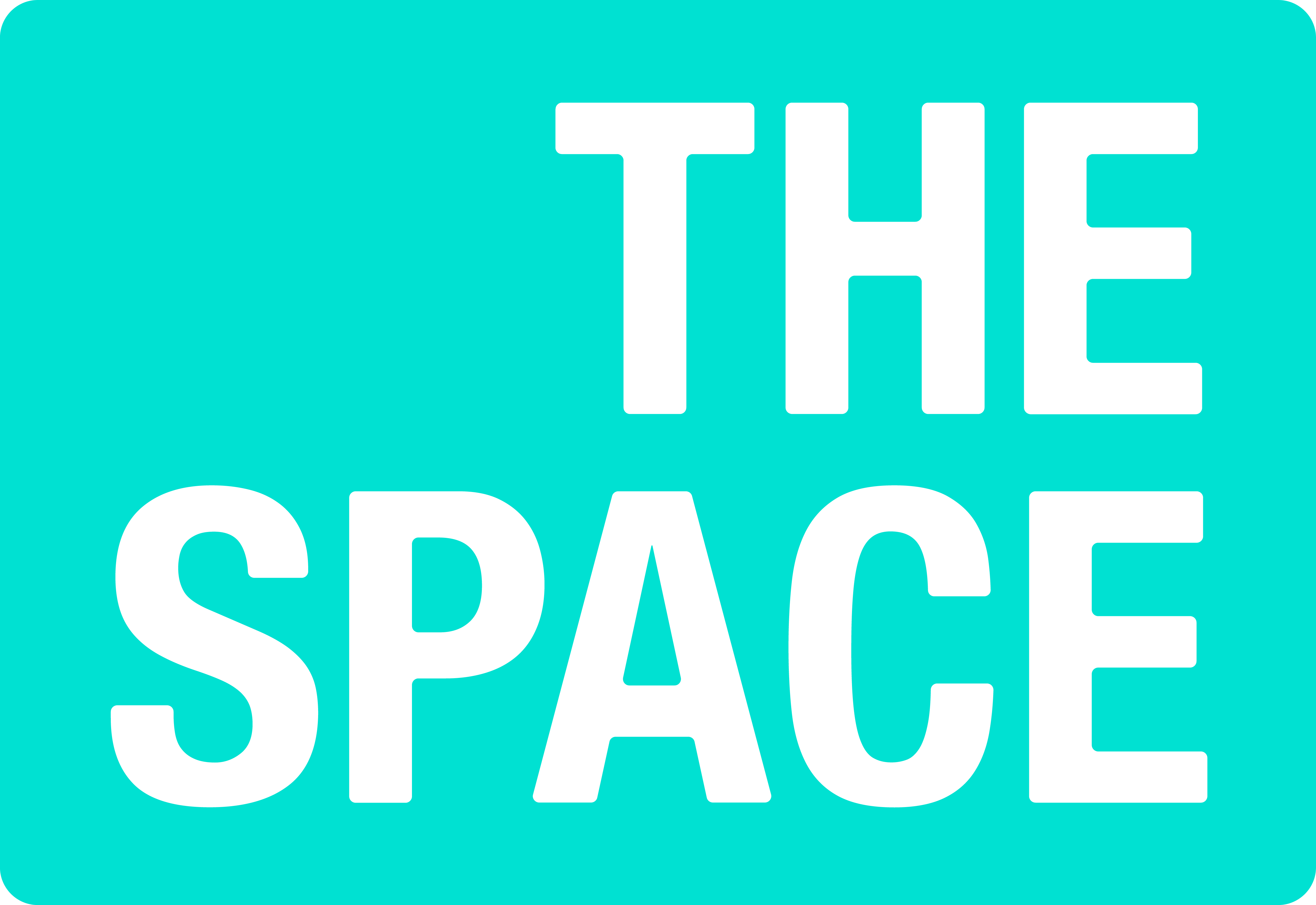 The space logo